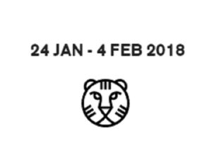 IFFR Trainee Project for Young Film Critics in Netherlands-MAIN