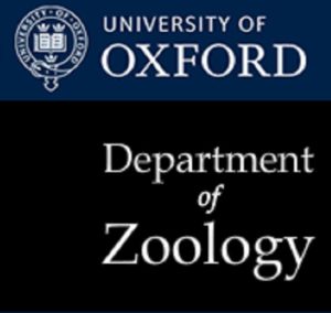 Oxford-Natural Motion Graduate Scholarships in Zoology-featured