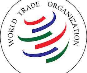 Youth Triumph Internship at the World Trade Organization 1