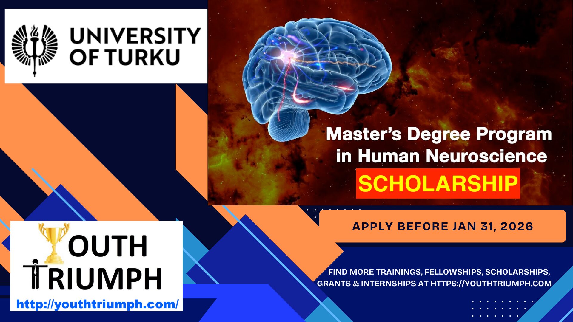 Master’s Degree Programme in Human Neuroscience in University of Turku copy